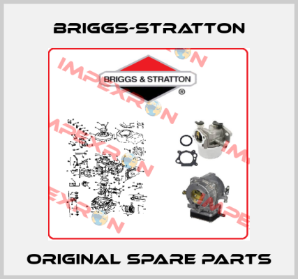 Briggs-Stratton