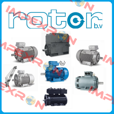 Rotor