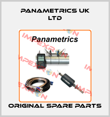 PANAMETRICS UK LTD