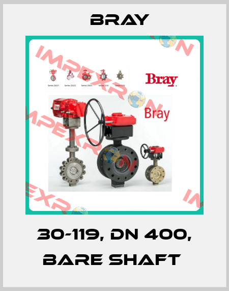 30-119, DN 400, bare shaft  Bray