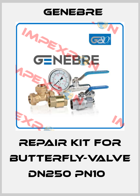 Repair kit for butterfly-valve DN250 PN10   Genebre