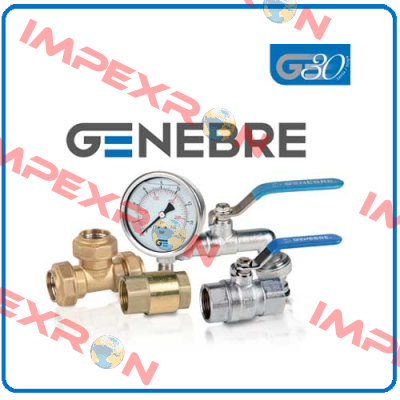 Repair kit for butterfly-valve DN250 PN10   Genebre