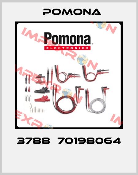 3788  70198064  Pomona