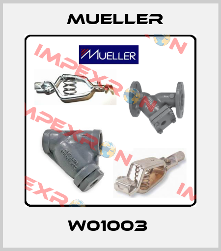 W01003  Mueller