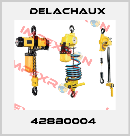 428B0004  Delachaux