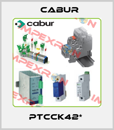 PTCCK42*  Cabur