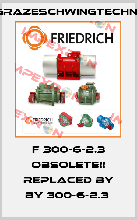 F 300-6-2.3 Obsolete!! Replaced by BY 300-6-2.3  GrazeSchwingtechnik
