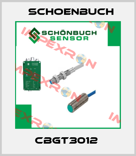 CBGT3012  Schoenbuch