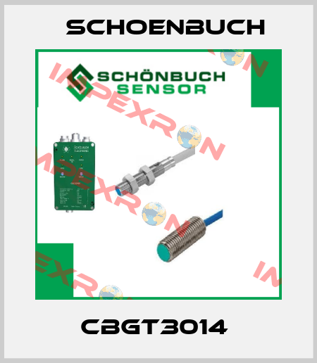 CBGT3014  Schoenbuch