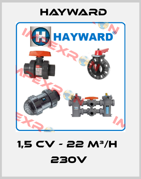 1,5 CV - 22 M³/H        230V  HAYWARD
