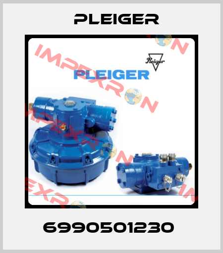 6990501230  Pleiger