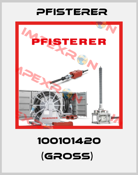 100101420 (GROSS)  Pfisterer
