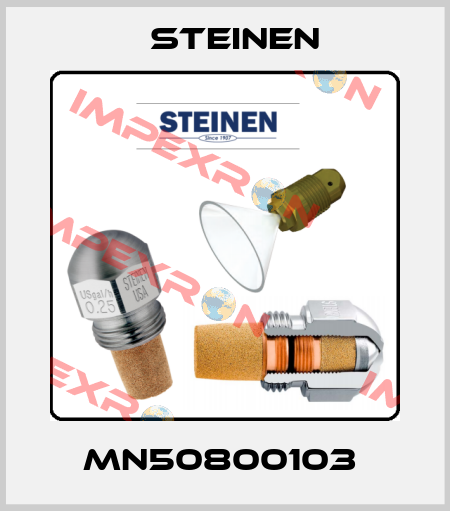 MN50800103  Steinen