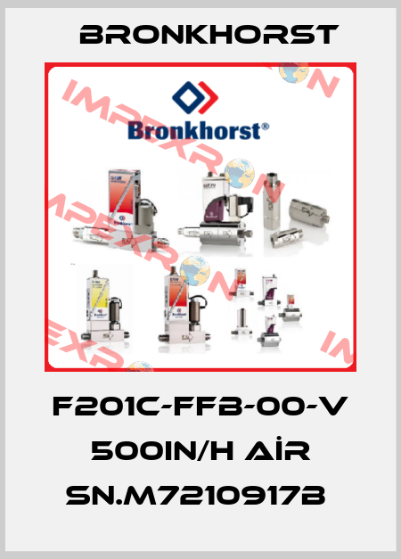 F201C-FFB-00-V 500IN/H AİR SN.M7210917B  Bronkhorst