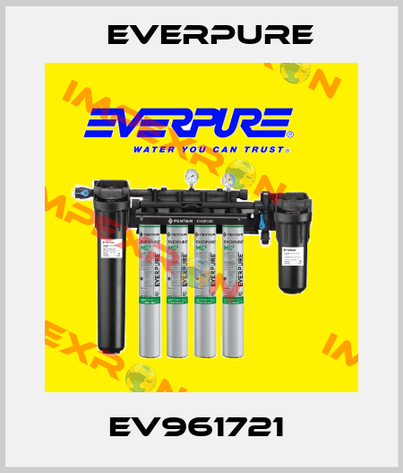 EV961721  Everpure