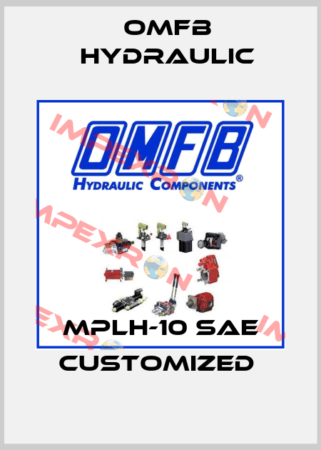 MPLH-10 SAE customized  OMFB Hydraulic