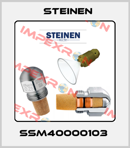 SSM40000103  Steinen