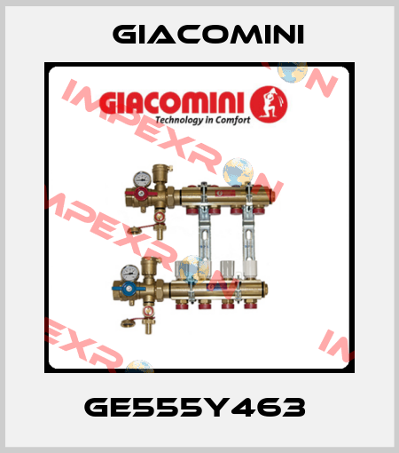 GE555Y463  Giacomini