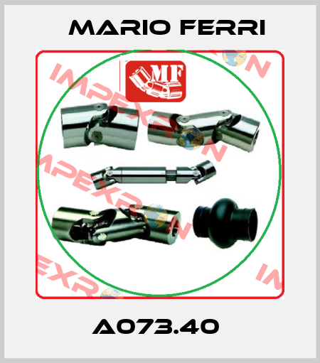 A073.40  Mario Ferri