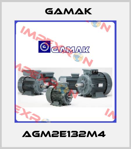 AGM2E132M4  Gamak