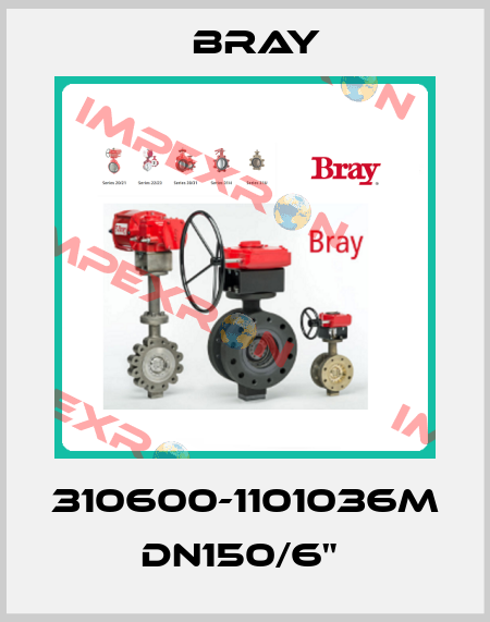 310600-1101036M  DN150/6"  Bray