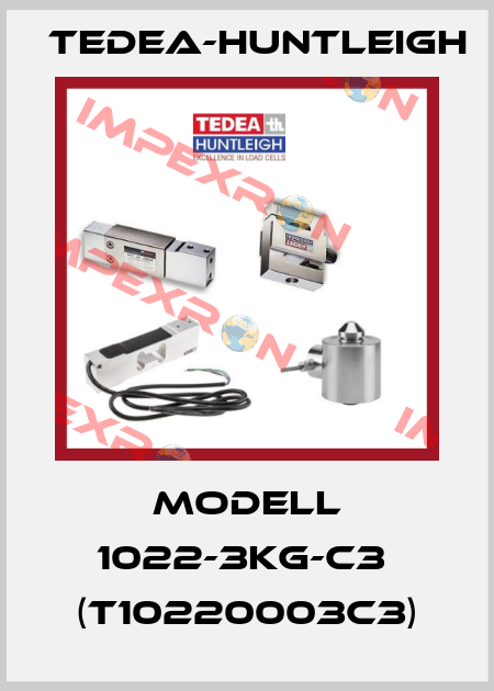 Modell 1022-3kg-C3  (T10220003C3) Tedea-Huntleigh