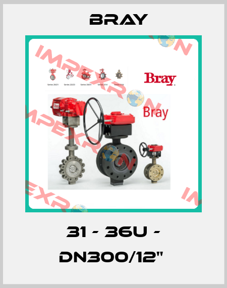 31 - 36U - DN300/12"  Bray