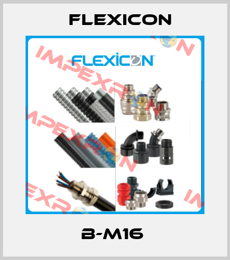 B-M16  Flexicon
