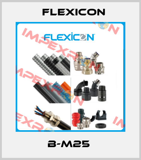 B-M25  Flexicon