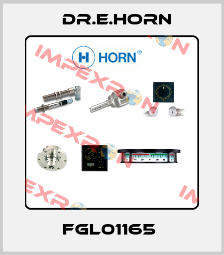 FGL01165  Dr.E.Horn