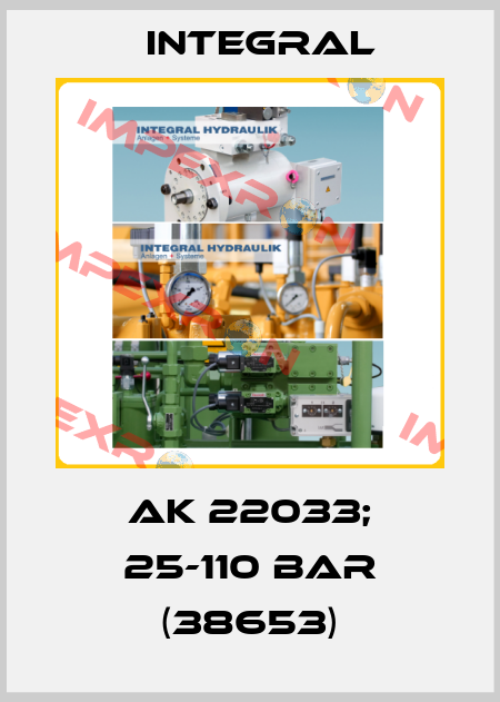 AK 22033; 25-110 BAR (38653) Integral
