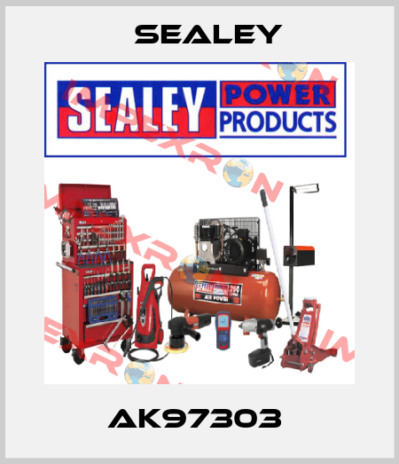 AK97303  Sealey