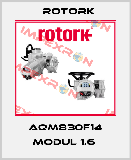 AQM830F14 MODUL 1.6  Rotork