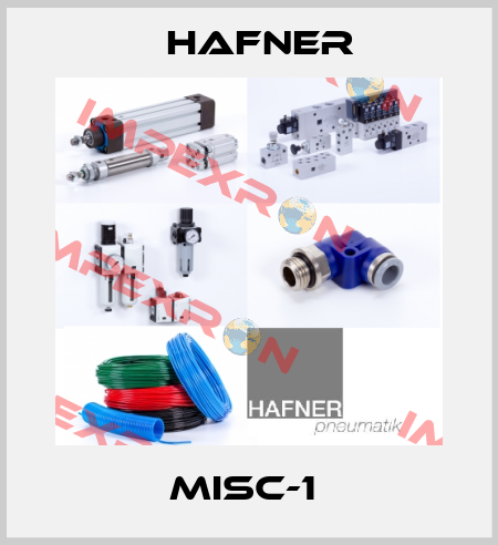 MISC-1  Hafner
