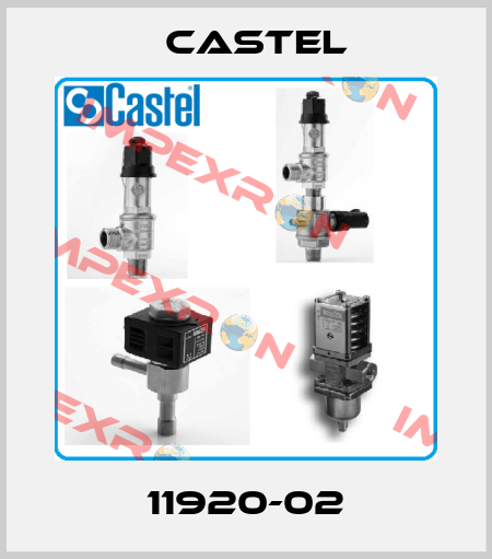 11920-02 Castel