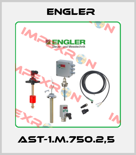 AST-1.M.750.2,5  Engler