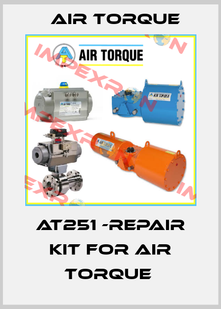AT251 -REPAIR KIT FOR AIR TORQUE  Air Torque