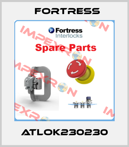 ATLOK230230 Fortress  Interlocks