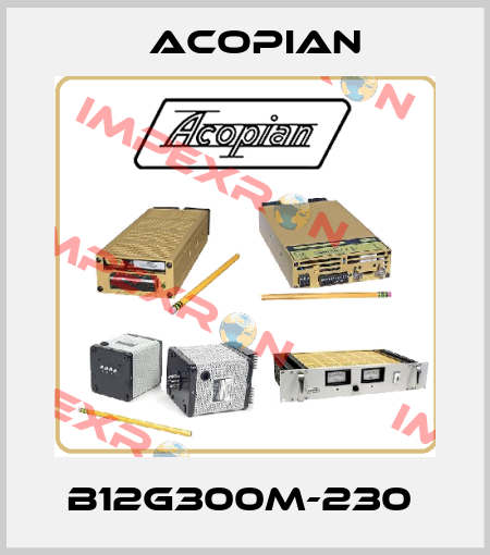 B12G300M-230  ACOPIAN