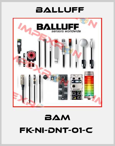 BAM FK-NI-DNT-01-C  Balluff