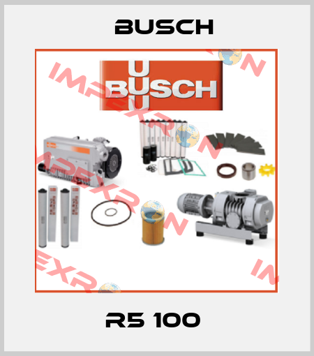 R5 100  Busch