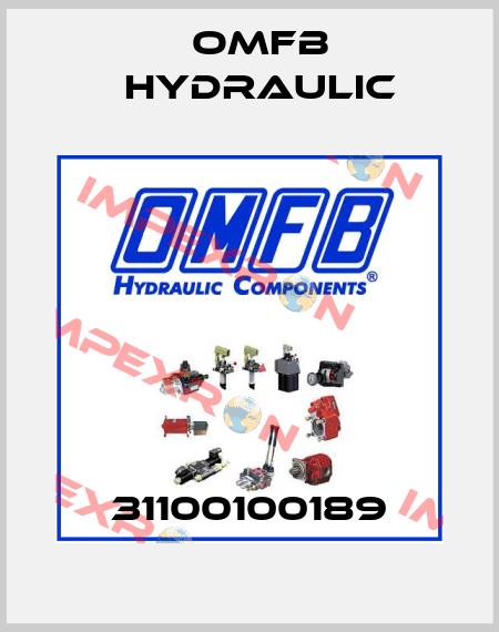 31100100189 OMFB Hydraulic