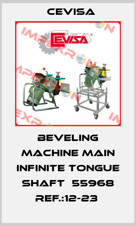 BEVELING MACHINE MAIN INFINITE TONGUE SHAFT  55968 REF.:12-23  Cevisa