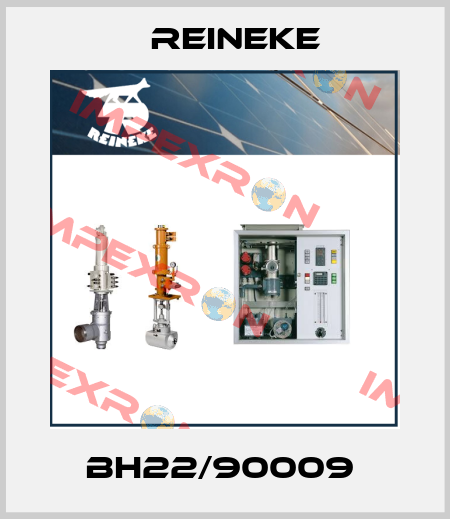 BH22/90009  Reineke