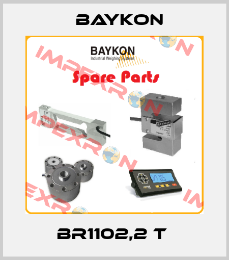 BR1102,2 t  Baykon
