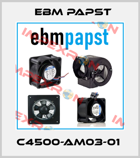 C4500-AM03-01  EBM Papst