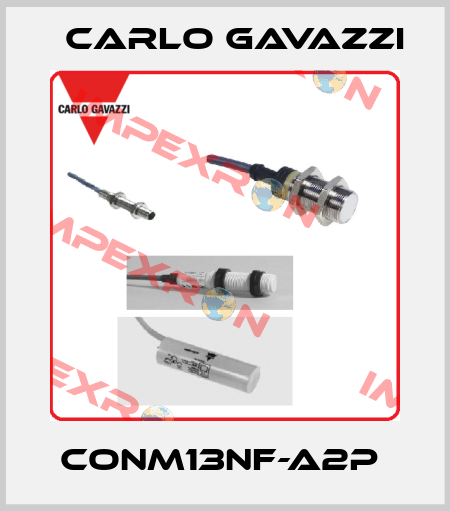 CONM13NF-A2P  Carlo Gavazzi