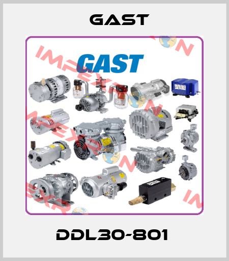 DDL30-801  Gast Manufacturing