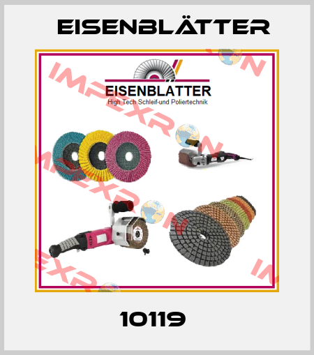10119  Eisenblätter
