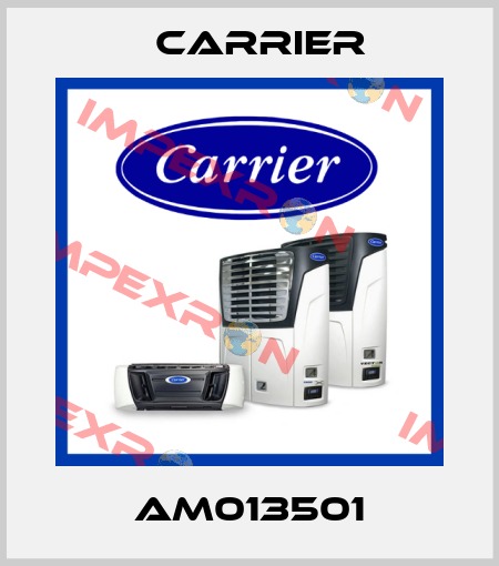 AM013501 Carrier